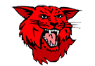 WAE Logo